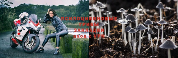 PSILOCYBIN Балабаново